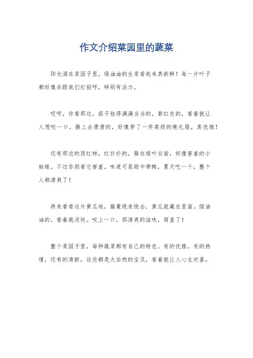作文介绍菜园里的蔬菜