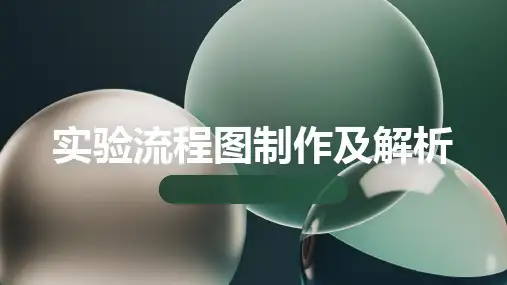 实验流程图