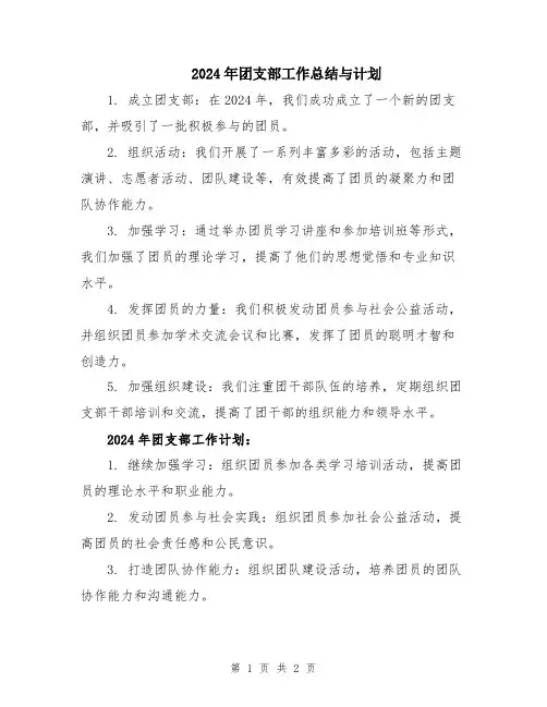 2024年团支部工作总结与计划