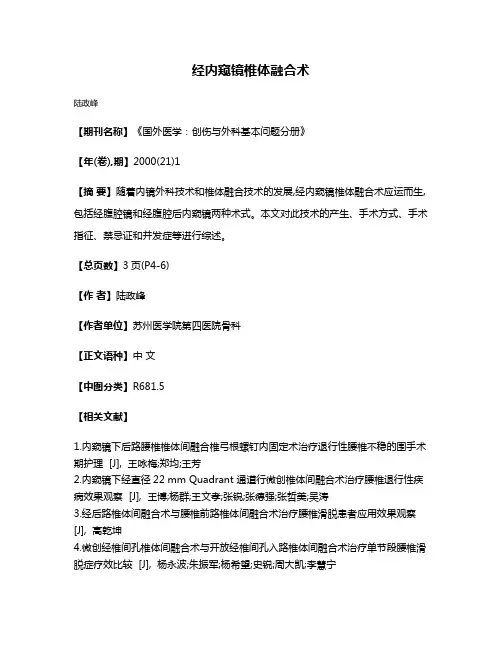 经内窥镜椎体融合术