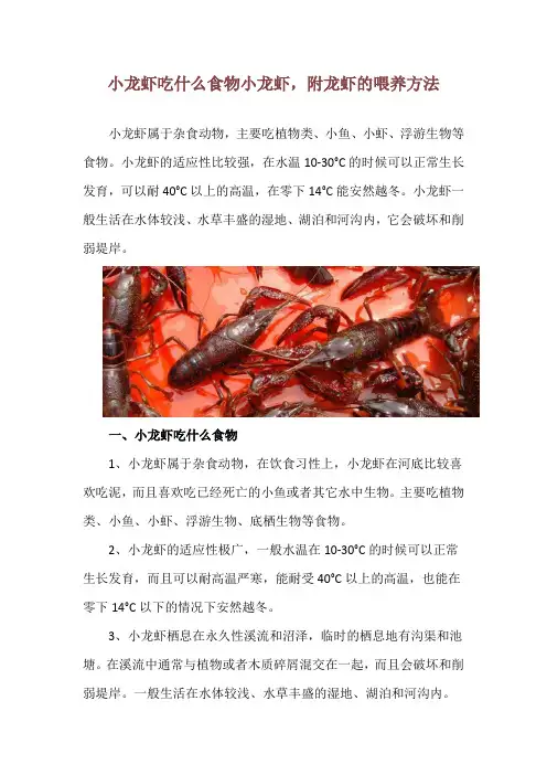 小龙虾吃什么食物小龙虾,附龙虾的喂养方法