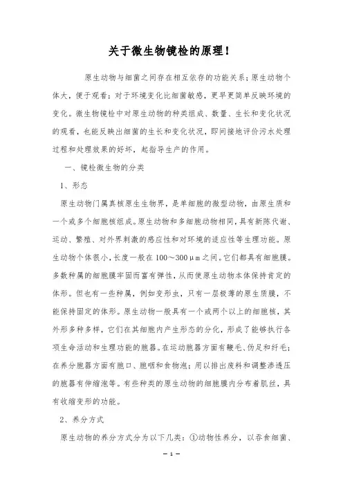 关于微生物镜检的原理!