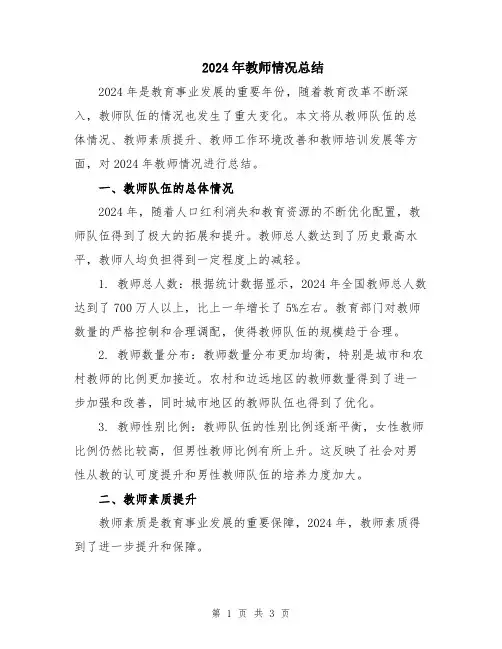 2024年教师情况总结