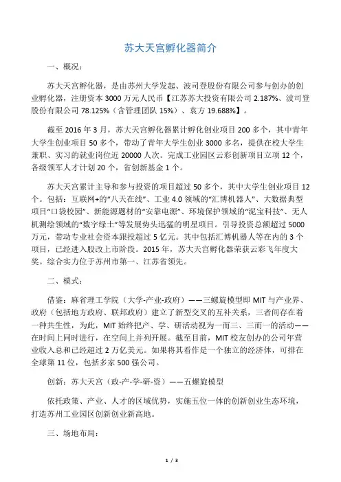 苏大天宫孵化器简介(word)