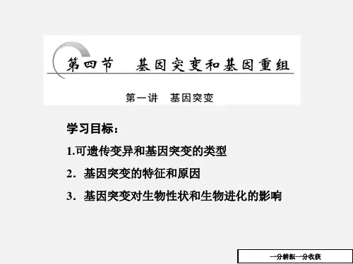 高一生物苏教版必修二课件：第四章_第四节_第一讲_基因突变