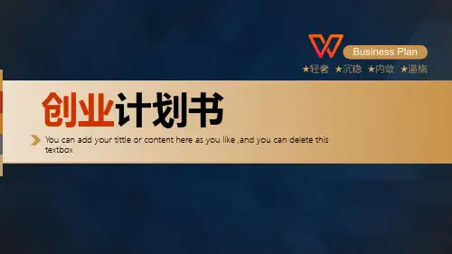 商业计划书ppt模板