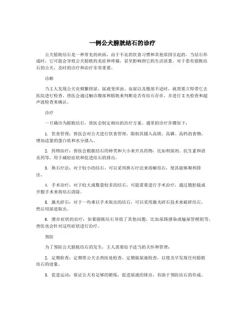 一例公犬膀胱结石的诊疗