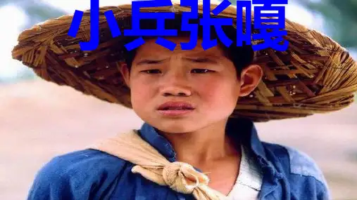 西师大小学语文五年级下册《26小兵张嘎》PPT课件 (3)