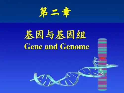 基因和基因组(生物化学)