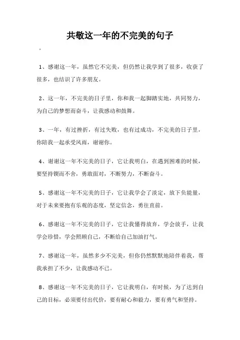 共敬这一年的不完美的句子