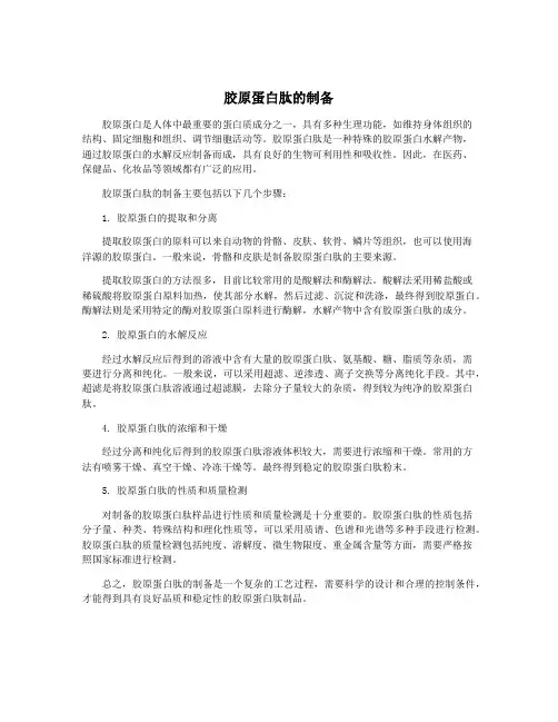 胶原蛋白肽的制备