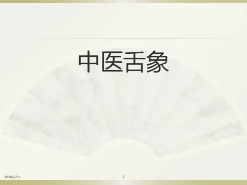 中医舌象(课堂PPT)