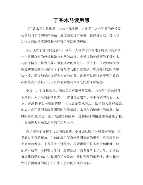 丁香木马读后感