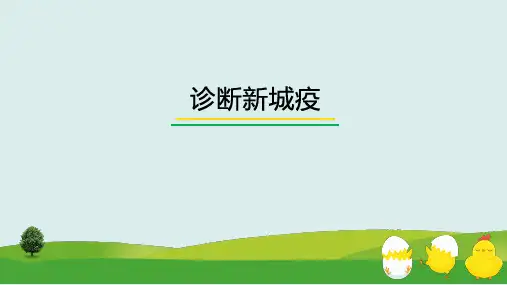 诊断新城疫课件(共21张PPT)《禽病防治》