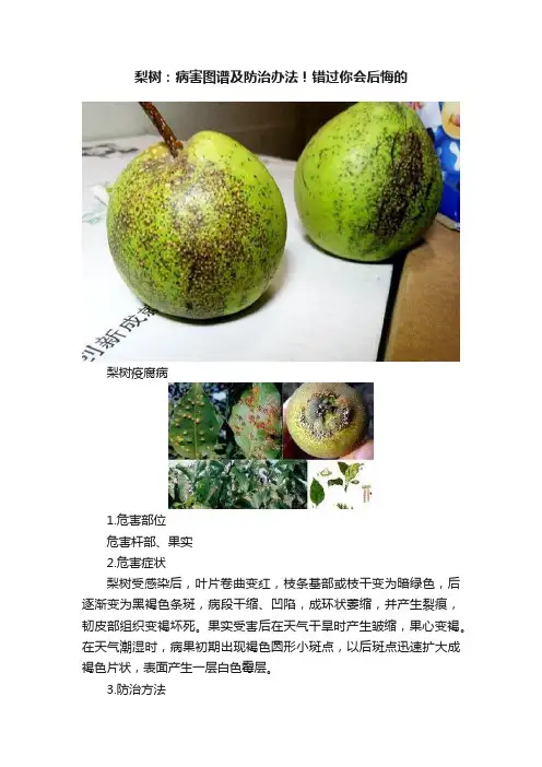 梨树：病害图谱及防治办法！错过你会后悔的