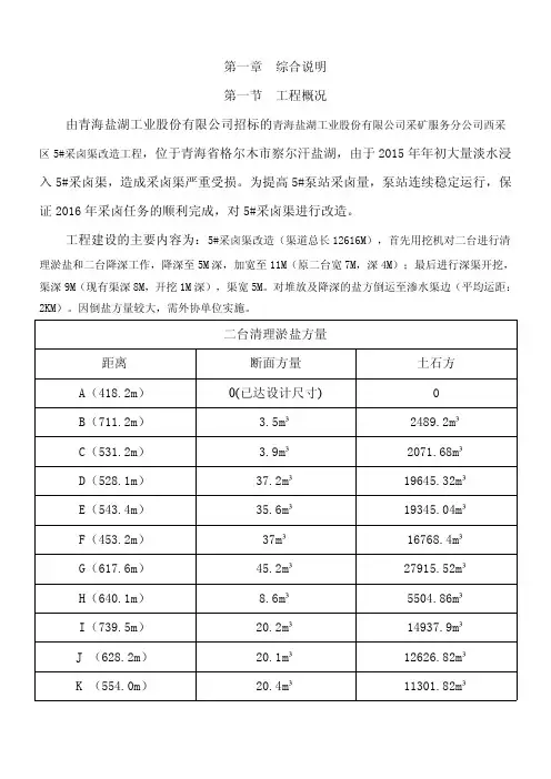 青海盐湖工业采矿公司西采区5#采卤渠改造工程施工组织设计