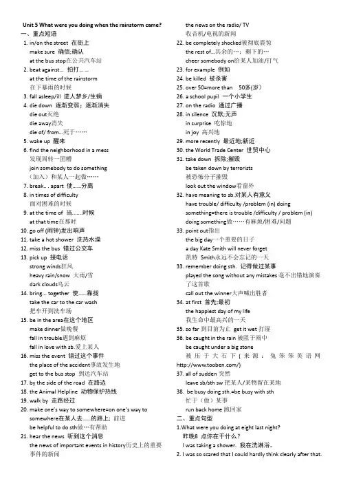八年级英语下册Unit 5 What were you doing when the rainstorm came重点知识点