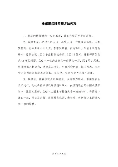 桂花嫁接时间和方法教程