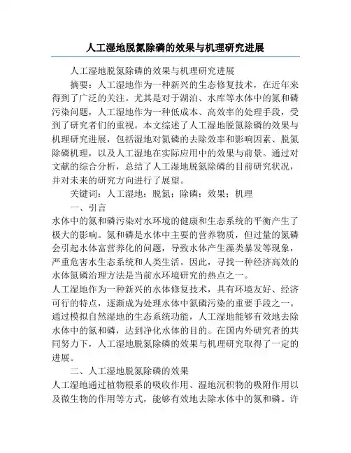 人工湿地脱氮除磷的效果与机理研究进展