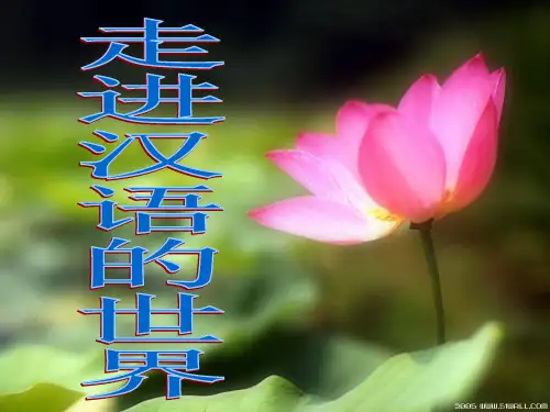 经典普通话和方言研究