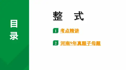 2024河南中考数学专题复习 整式 课件