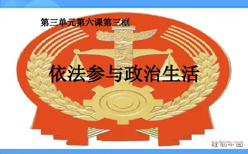 人教新课标版初中九年级3.6.3依法参与政治生活ppt课件5