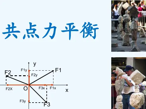 共点力平衡专题 ppt课件