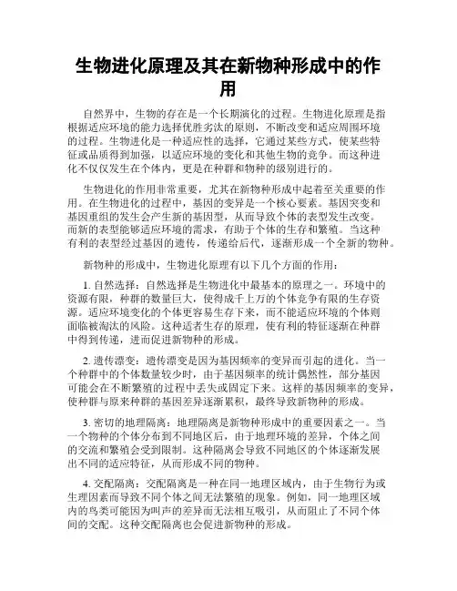 生物进化原理及其在新物种形成中的作用