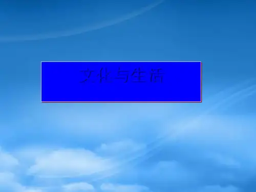 高中政治 文化生活第一单元考点分析课件 新人教必修3