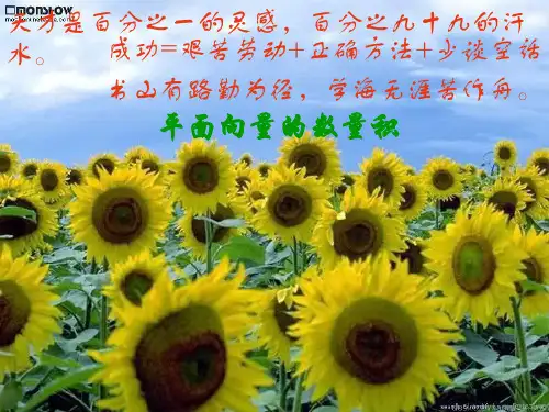 高中第一册(下)数学平面向量的数量积2(ppt)