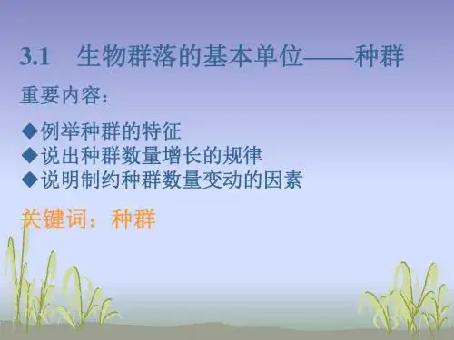 种群(1)精选教学PPT课件