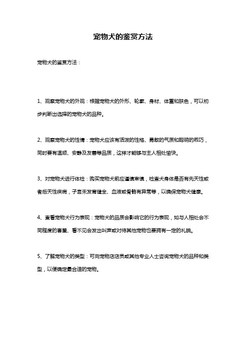 宠物犬的鉴赏方法