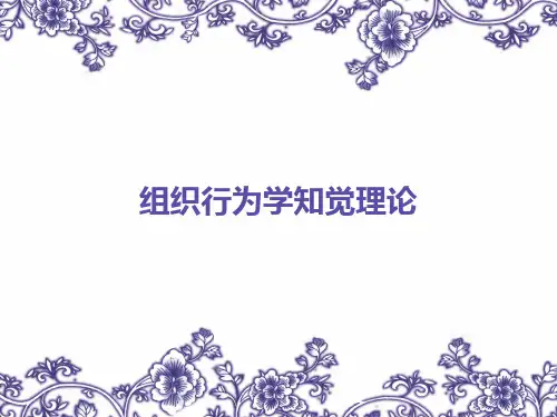 组织行为学知觉理论(精品)