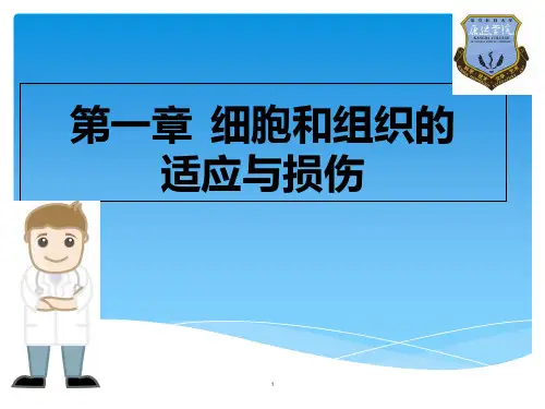 病理学第一章 细胞和组织的适应与损伤PPT课件