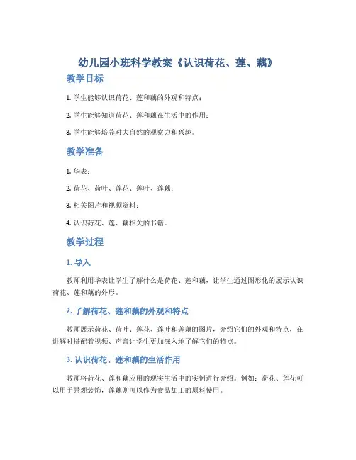 幼儿园小班科学教案《认识荷花、莲、藕》