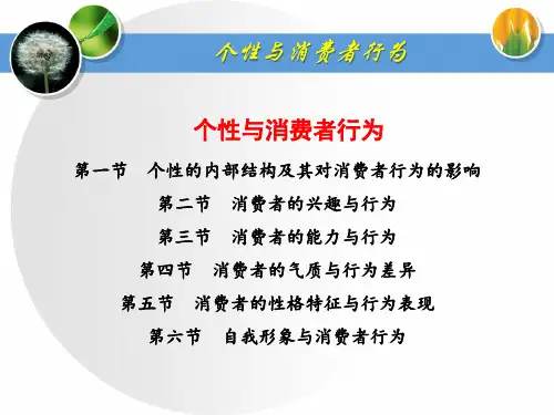 消费者行为学：个性与消费者行为