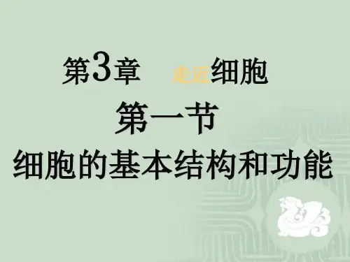 细胞结构与功能PPT课件