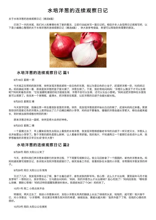 水培洋葱的连续观察日记
