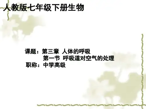 人教版生物七年级下册课件4.3.1呼吸道对空气的处理 (共32张PPT)
