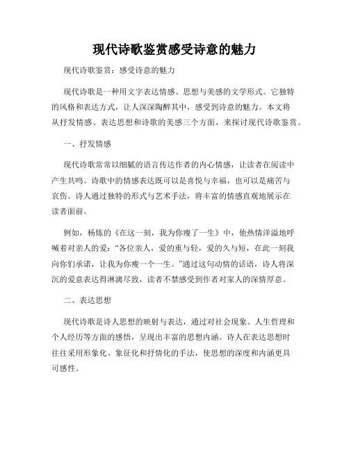 现代诗歌鉴赏感受诗意的魅力