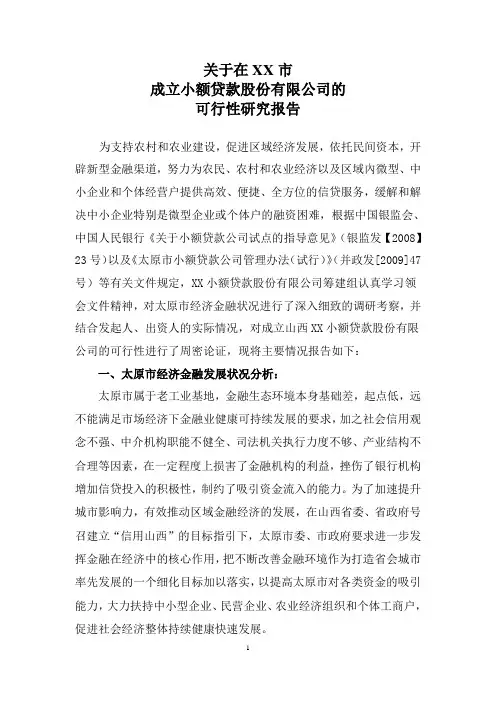 小额贷款公司可研报告