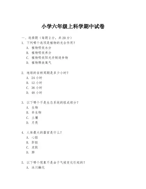 小学六年级上科学期中试卷