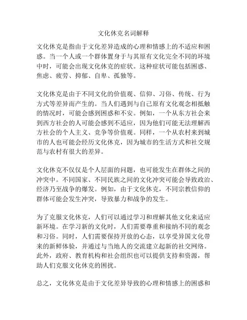 文化休克名词解释