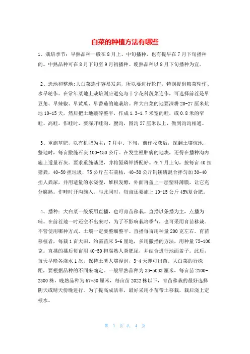白菜的种植方法有哪些