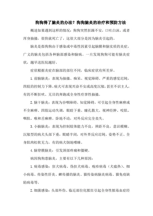 狗狗得了脑炎的办法？狗狗脑炎的治疗和预防方法
