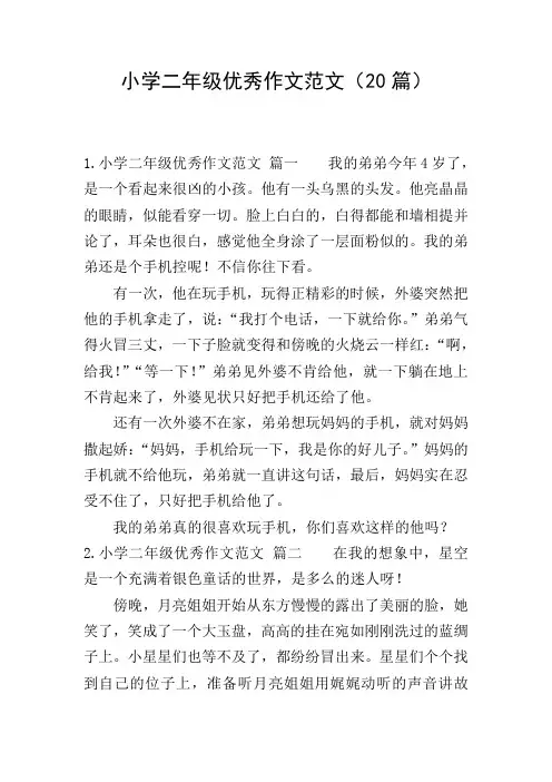 小学二年级优秀作文范文(20篇)