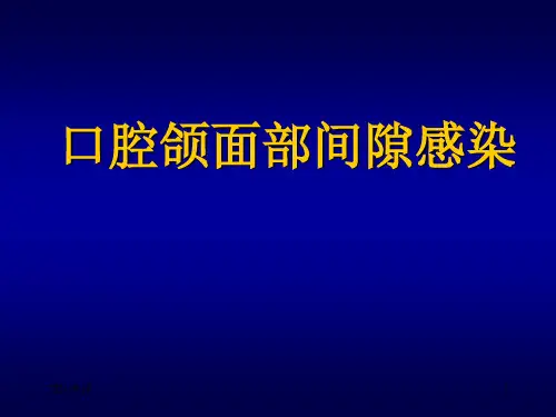 间隙感染PPT课件