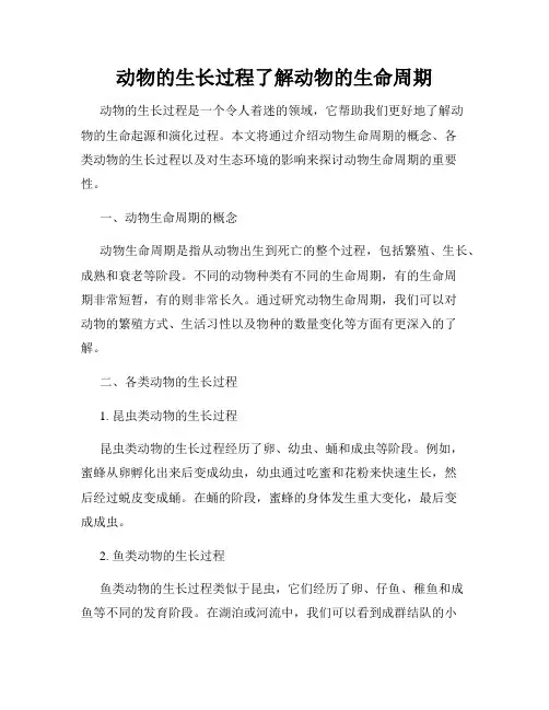 动物的生长过程了解动物的生命周期