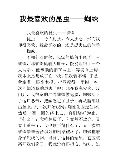 我最喜欢的昆虫——蜘蛛