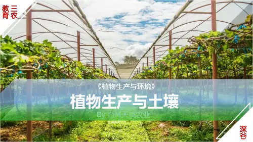 《植物生产与环境》课程课件——植物生产与土壤